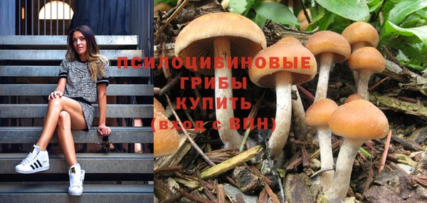 марки nbome Армянск