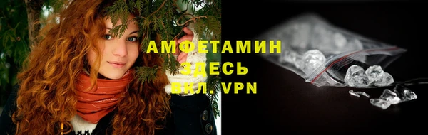 PSILOCYBIN Аркадак