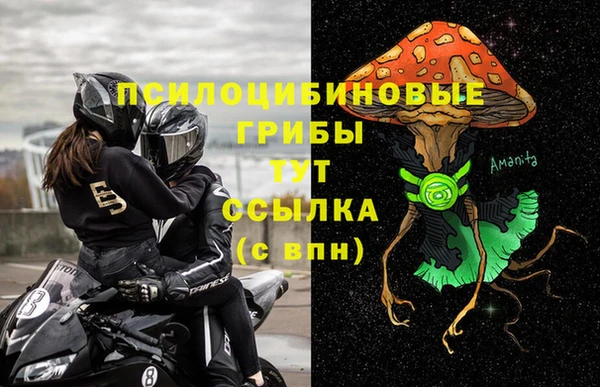 прущие крисы Балахна