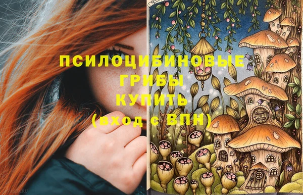 PSILOCYBIN Аркадак