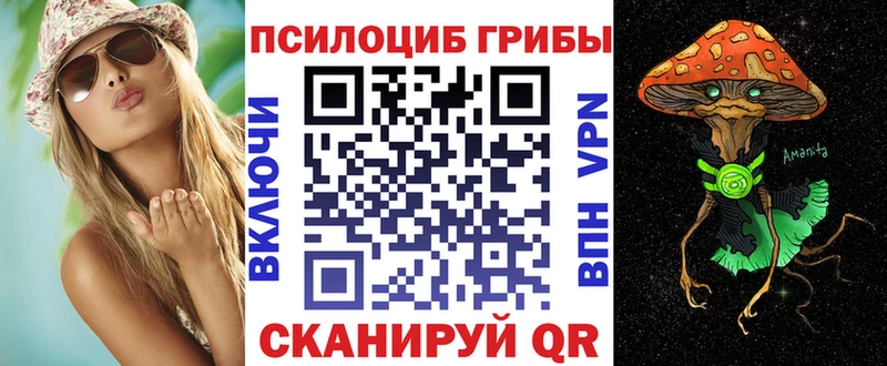 Галлюциногенные грибы Psilocybe  Коломна 