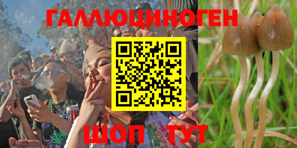 Коломна  Псилоцибиновые грибы GOLDEN TEACHER  Вход с VPN  Псилоцибиновые грибы прущие грибы 